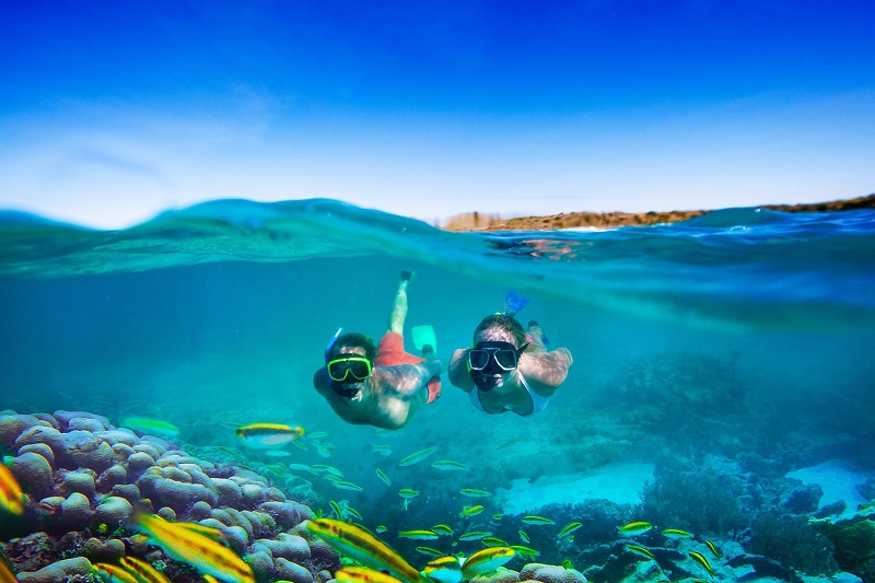 Mergulho de snorkel em Maceió