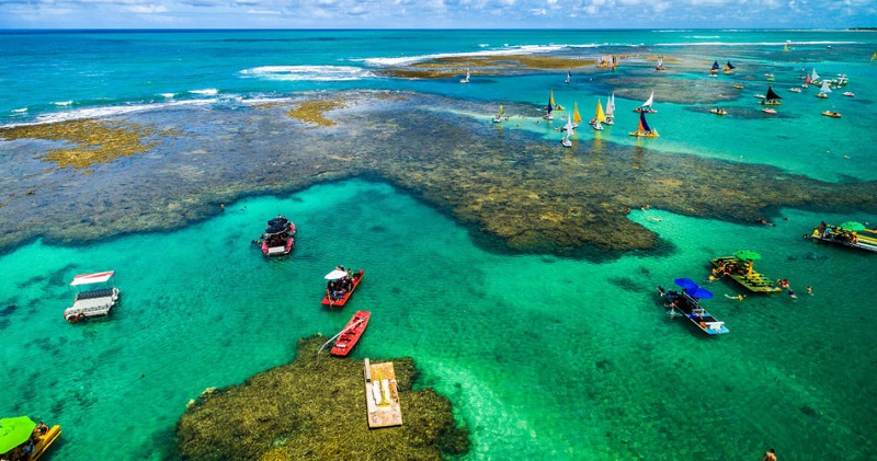 Passeios em Porto de Galinhas