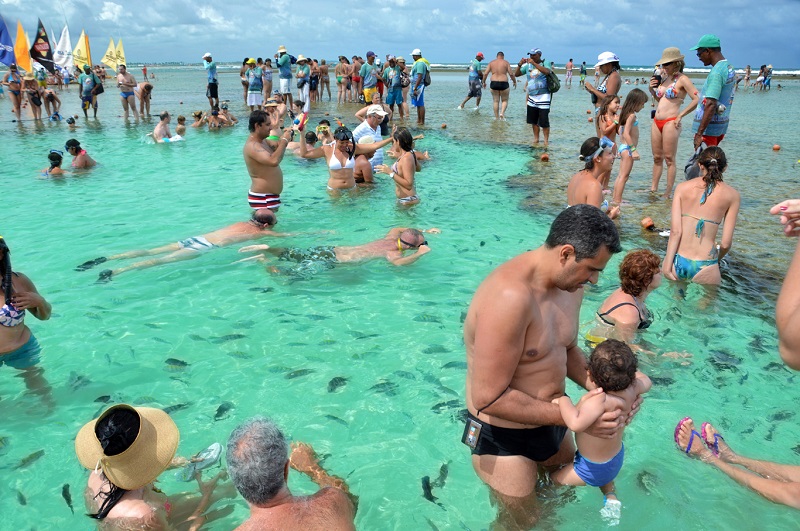 Turistas observando a vida marinha em Porto de Galinhas